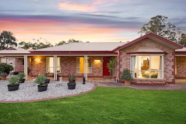 Farm Sold - VIC - Mildura - 3500 - Expansive Home on an Acre in Prime Location!  (Image 2)