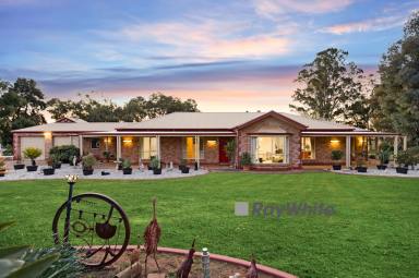 Farm Sold - VIC - Mildura - 3500 - Expansive Home on an Acre in Prime Location!  (Image 2)