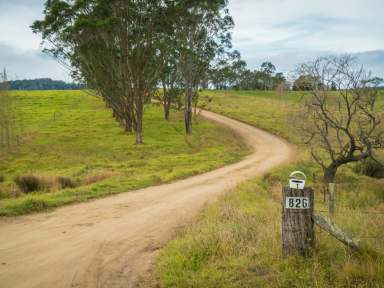 Farm Sold - NSW - Bega - 2550 - "ANGLEDALE"  (Image 2)