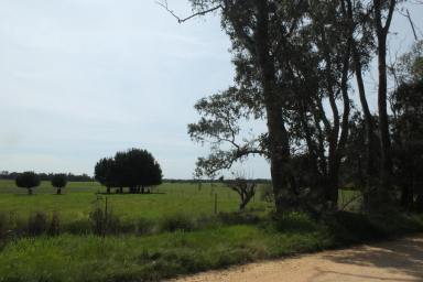 Farm For Sale - VIC - Percydale - 3478 - Historic Charm and Tranquil Living Await: Percydale Road Gem  (Image 2)