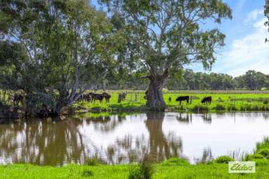 Farm Sold - VIC - Ararat - 3377 - 80 Acre Hobby Farm On Town Edge  (Image 2)