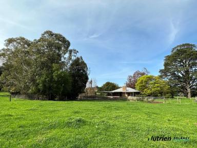 Farm Sold - VIC - Neerim - 3831 - Panoramic Views! City to Country Getaway  (Image 2)