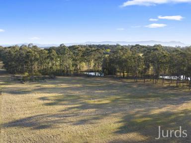 Farm Sold - NSW - Lovedale - 2325 - EXTREMELY PRIVATE AND RARE FIVE ACRE BLOCK IN HUNTER VALLEY WINE COUNTRY  (Image 2)