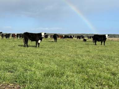 Farm For Sale - SA - Nora Creina - 5276 - LOW MANAGEMENT GRAZING UNDER $2,500,000  (Image 2)