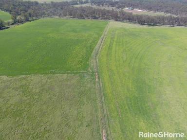 Farm Sold - QLD - Kingaroy - 4610 - 256 Acres ,Large Shed with 3 Bedroom dwelling. River Frontage !!  (Image 2)