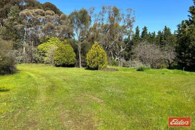 Farm Sold - SA - Williamstown - 5351 - UNDER CONTRACT BY JEFF LIND  (Image 2)