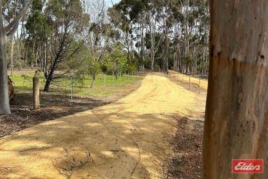 Farm Sold - SA - Williamstown - 5351 - UNDER CONTRACT BY JEFF LIND  (Image 2)