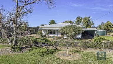 Farm Sold - NSW - Bunnaloo - 2731 - Escape to the Country  (Image 2)