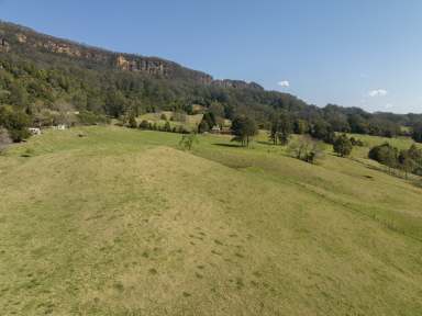 Farm Sold - NSW - Woodhill - 2535 - 'Xanadu' - Endless Potential  (Image 2)