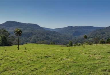 Farm Sold - NSW - Woodhill - 2535 - 'Xanadu' - Endless Potential  (Image 2)