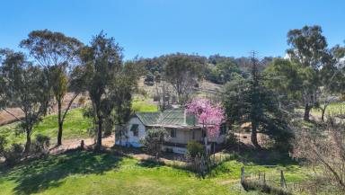 Farm Sold - NSW - Dungowan - 2340 - Ready for a new adventure!  (Image 2)