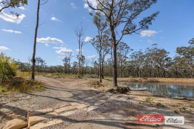 Farm For Sale - NSW - Lakesland - 2572 - Off grid and outta here! 64 acres approx.  (Image 2)