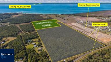 Farm For Sale - QLD - Booral - 4655 - 91 LOT SHOVEL READY PROJECT  (Image 2)