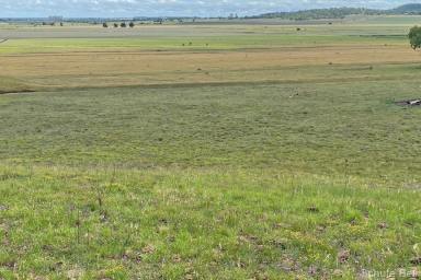Farm For Sale - QLD - Mount Tyson - 4356 - Fertile Basalt Farming in Good Location  (Image 2)