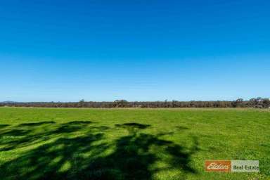 Farm Sold - WA - Mount Barker - 6324 - Simply the Best!  (Image 2)