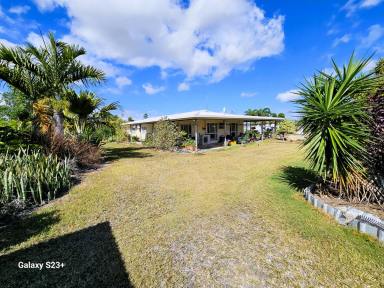 Farm For Sale - QLD - Mareeba - 4880 - THE IDEAL LIFSTYLE PROPERTY WITH SIDE INCOME  (Image 2)
