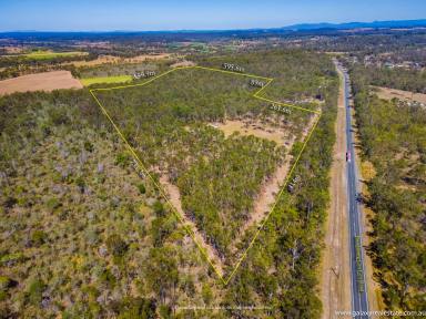 Farm Sold - QLD - Bungadoo - 4671 - Contract Crashed their loss could be your Gain!!  (Image 2)