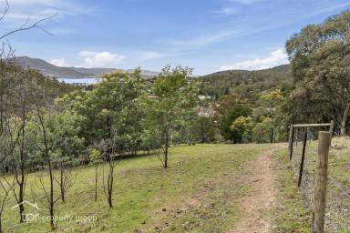 Farm For Sale - TAS - Berriedale - 7011 - What A Rare Chance To Acquire  (Image 2)