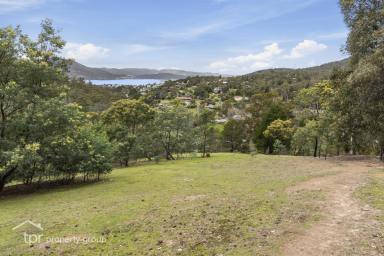 Farm For Sale - TAS - Berriedale - 7011 - What A Rare Chance To Acquire  (Image 2)