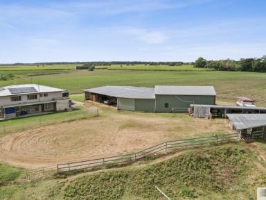 Farm For Sale - QLD - Euramo - 4854 - FOUR BEDROOM HIGHSET HOME ON APPROX. 4.5 ACRES  (Image 2)