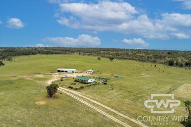 Farm For Sale - NSW - Bonshaw - 2361 - Gum Camp  (Image 2)