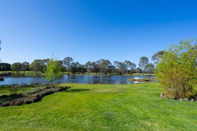 Farm Sold - VIC - Hamilton - 3300 - IMMACULATE FAMILY HOME – LIFESTYLE WITH ACRES - UNDER OFFER  (Image 2)