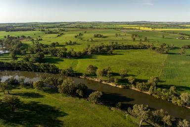 Farm For Sale - NSW - Euberta - 2650 - Build your home on the banks of the Mighty Bidgee  (Image 2)