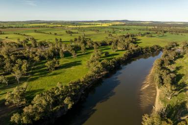 Farm For Sale - NSW - Euberta - 2650 - Build your home on the banks of the Mighty Bidgee  (Image 2)