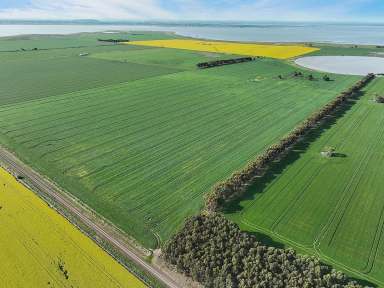 Farm Sold - VIC - Leslie Manor - 3260 - TOP QUALITY CAMPERDOWN-LISMORE DISTRICT  (Image 2)