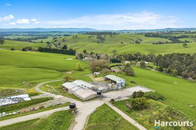 Farm Sold - VIC - Poowong - 3988 - Unique Dairy Opportunity in Poowong, Victoria's Premier Dairy Region  (Image 2)