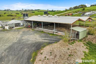 Farm Sold - VIC - Poowong - 3988 - Unique Dairy Opportunity in Poowong, Victoria's Premier Dairy Region  (Image 2)