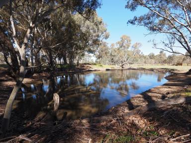 Farm Sold - VIC - Alma - 3465 - 61.60HA (152.20 Acres) Well Situated Grazing, Lifestyle or Landbank Opportunity  (Image 2)