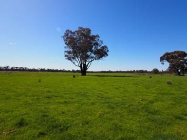 Farm Sold - VIC - Alma - 3465 - 61.60HA (152.20 Acres) Well Situated Grazing, Lifestyle or Landbank Opportunity  (Image 2)