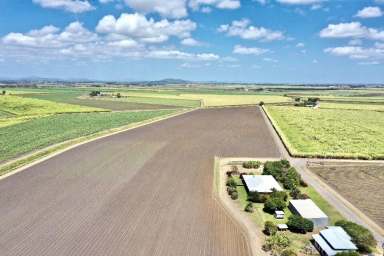 Farm For Sale - QLD - Brandon - 4808 - 2 x Cane Farms on Edge of Town - 2 Houses - Machinery  (Image 2)