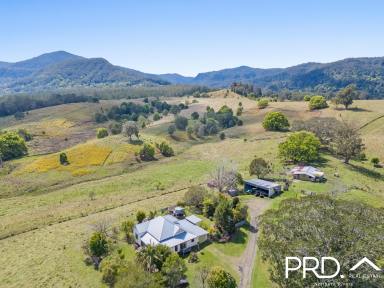 Farm Sold - NSW - Nimbin - 2480 - Classic Homestead with Spectacular Views  (Image 2)