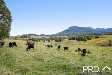 Farm Sold - NSW - Nimbin - 2480 - Classic Homestead with Spectacular Views  (Image 2)