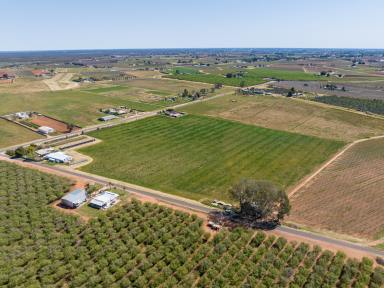 Farm Sold - VIC - Red Cliffs  - 3496 - “A property with Plenty to offer.” “House, Bungalow, Big shed & O/H Irrigation – 23 Acres”  (Image 2)