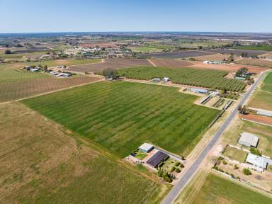 Farm Sold - VIC - Red Cliffs  - 3496 - “A property with Plenty to offer.” “House, Bungalow, Big shed & O/H Irrigation – 23 Acres”  (Image 2)
