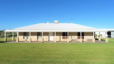 Farm Sold - QLD - Roma - 4455 - Immaculate Lifestyle Living  (Image 2)