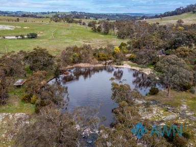 Farm For Sale - VIC - Strathbogie - 3666 - The Hidden Paradise of ‘Lair.’ 128 ac, Infrastructure, Waterfront, 2 BR Home  (Image 2)