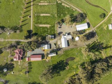 Farm Sold - VIC - Warrenbayne - 3670 - Prime Angus Stud at "Glenwellyn"  (Image 2)