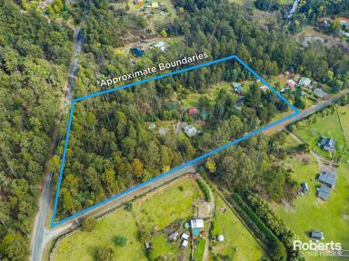 Farm Sold - TAS - Claude Road - 7306 - Make from Home: Roland B&B's Profitable Opportunity  (Image 2)