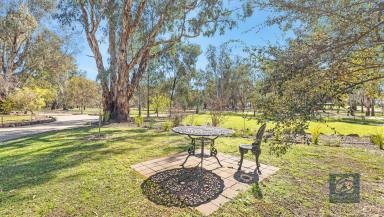 Farm For Sale - VIC - Wharparilla - 3564 - Residence - Holiday Home 
A short distance to the Murray River  & Boat Ramp

REALLY NEEDS TO BE SEEN - Offers considered. Price Reduced to $870,000  (Image 2)