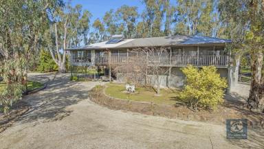 Farm For Sale - VIC - Wharparilla - 3564 - Residence - Holiday Home 
A short distance to the Murray River  & Boat Ramp

REALLY NEEDS TO BE SEEN - Offers considered. Price Reduced to $870,000  (Image 2)