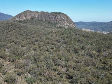 Farm Sold - NSW - Berrigal - 2390 - Serene Wilderness  (Image 2)