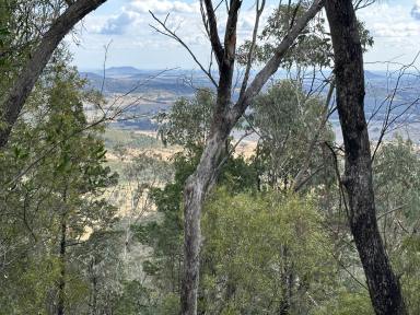 Farm Sold - NSW - Berrigal - 2390 - Serene Wilderness  (Image 2)