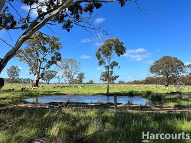 Farm For Sale - VIC - Charam - 3318 - Versatile Grazing/Cropping land  (Image 2)