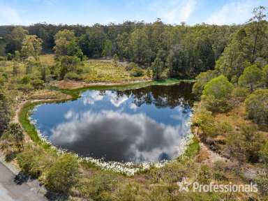 Farm Sold - QLD - Kybong - 4570 - 83 Acres Just South Of Gympie  (Image 2)