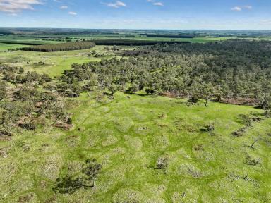 Farm For Sale - VIC - Stonyford - 3260 - VERSATILE STONYFORD COUNTRY  (Image 2)