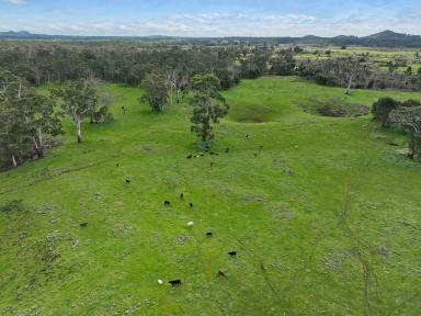 Farm For Sale - VIC - Stonyford - 3260 - VERSATILE STONYFORD COUNTRY  (Image 2)